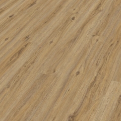 Meister, RL 400 (S), Dub Campside 7403