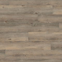 Wineo, 600 Wood Click, Borovice Toscany Grey