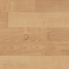 Parador Basic 200, Javor přírodní, 3-pásový