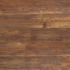 Vepo, Borovice Lucern VEP002