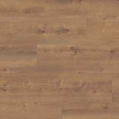 Vitality, Jumbo, JUM00426AP Dub městský (AquaProtect)