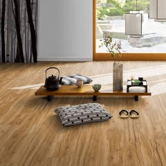 Parador Basic 30 HDF, Dub Memory přírodní, zámecká palubka, V4