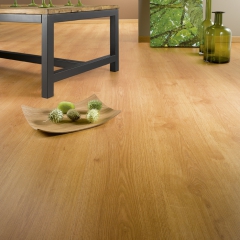 Alsafloor Forte 330 Dub prkno - interiér