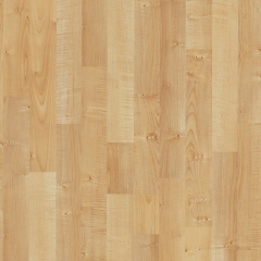 Parador Basic 200, Javor přírodní, 3-pásový