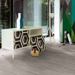 Parador Basic 4.3, Woodlines