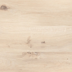 Floor Forever Pacific, 2038 Borneo