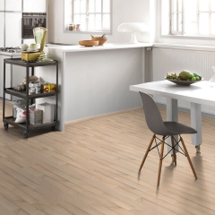 Parador Classic 1050, Jasan tropický, 2-pásový