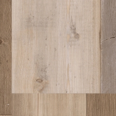 Parador Classic 2050, Shufflewood wild