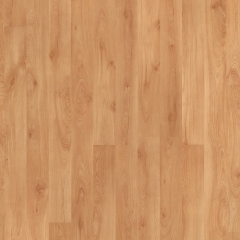 Parador Basic 200, Buk, 2-pásový