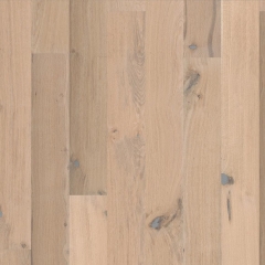 Kährs Linnea, Habitat, Dub Colony, V4