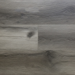 Audacity (SPC), EWH7042 Stream