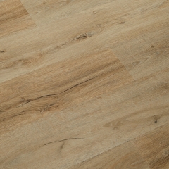 Winflex, Pro 33, 1217 Dub Brisbane