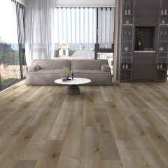 Winflex, Rigid 33 - EIR Click, 1176 Dub Ashland