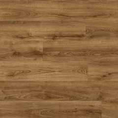 Floor Forever Vinyl, Divino Click 0,55 (Rigid), 83853 Dub Apollon