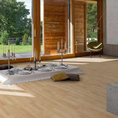 Parador Basic 11-5, Javor kanadský Natur, lak mat, parketový vzor