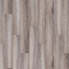 Vepo, Dub Hard 2032-01