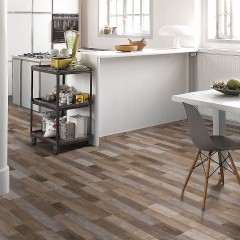 Parador Classic 2050, Shufflewood wild