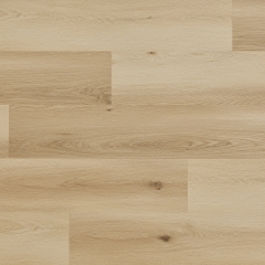 Arbiton, Woodric EIR, Dub Nordland CWS 207