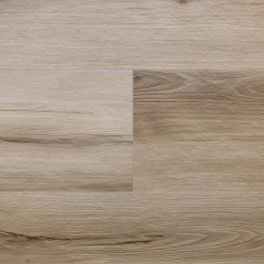 Audacity (SPC), EWH7045 Peak