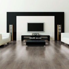 Wineo, 600 Wood Click XL, Dub Aumera Grey