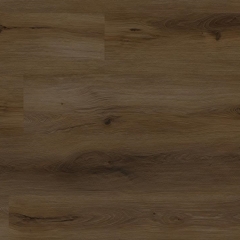 Audacity (SPC), EWH7040 Urbanite