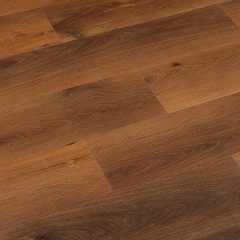 Winflex, Pro 33, 1218 Dub Adelaida