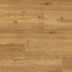 Vepo, Dub Moravia VEP014