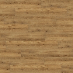Wineo, 600 Wood Click XL, Woodstock Honey