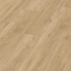 Meister, DD 155 Dryback, Vogue 20195