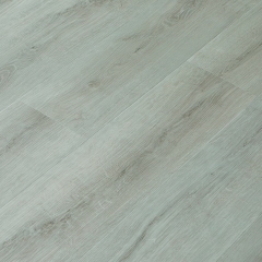 Winflex, Pro 33, 1138 Dub Houston