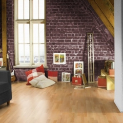 Balterio Vitality Diplomat 270 Buk - interiér