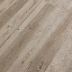 Winflex, Pro 33, 1022 Borovice Forest