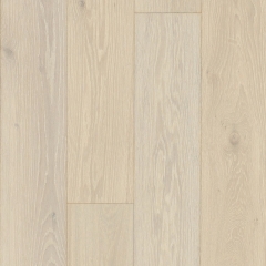 Parador Trendtime 4, Dub Arktis Living, lak mat, V4