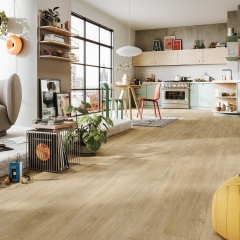 Meister, DD 155 Dryback, Vogue 20195