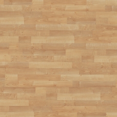 Parador Basic 200, Javor přírodní, 3-pásový