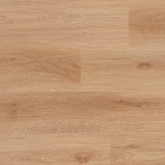 Afirmax, BiClick, 41612 Goldberg Oak