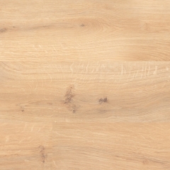 Floor Forever Pacific, 1319 Sumatra