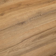 Winflex, Pro 33, 1216 Dub Auckland