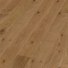 Tilo Marcanto Trend, Dub kouřový (L1295), V2