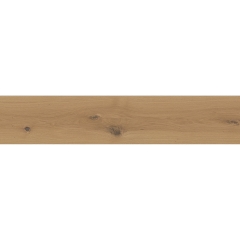 Tilo Marcanto, Dub creme (L1285), V2, olej