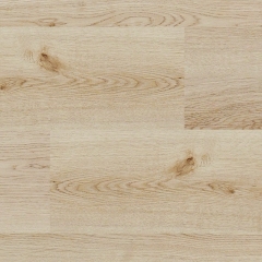 Balterio Dolce, 60747 Dub evropský