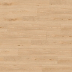 Gerflor, Creation 55 Clic Acoustic, 1704 Aquinoah Blond
