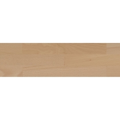 Tilo Porto, Buk natur (F1059), olej