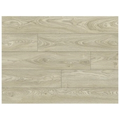 KPP, Euphoria, V4, Trevi Oak