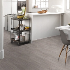 Parador Basic 4.3, Woodlines