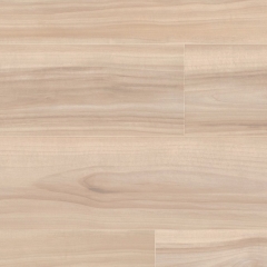 Meister Catega Flex DD 300, Javor surový 6944, SilentTouch