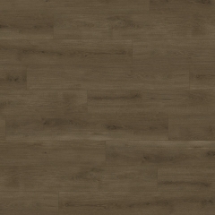 Audacity (SPC), EWH7006 Valley