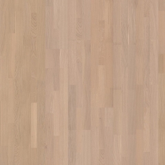 Tilo Oceano, Dub bílý (S1094)