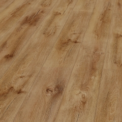 Balterio Impressio, 60915 Dub zářivý