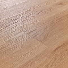 Afirmax, BiClick, 41612 Goldberg Oak